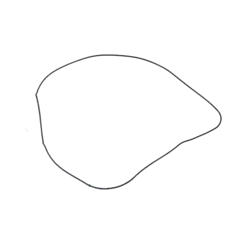 Kawasaki 1200 STX-R '02-05 Individual Gaskets