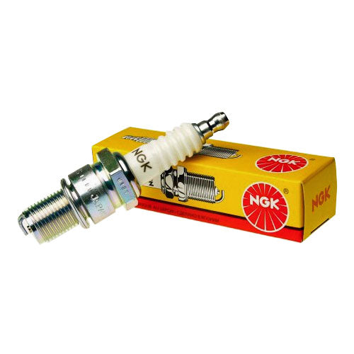 Tiger Shark NGK Spark Plugs
